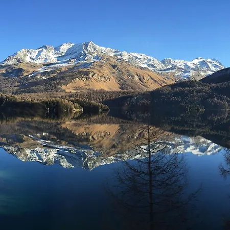 Ξενοδοχείο Hotelino Petit 4*